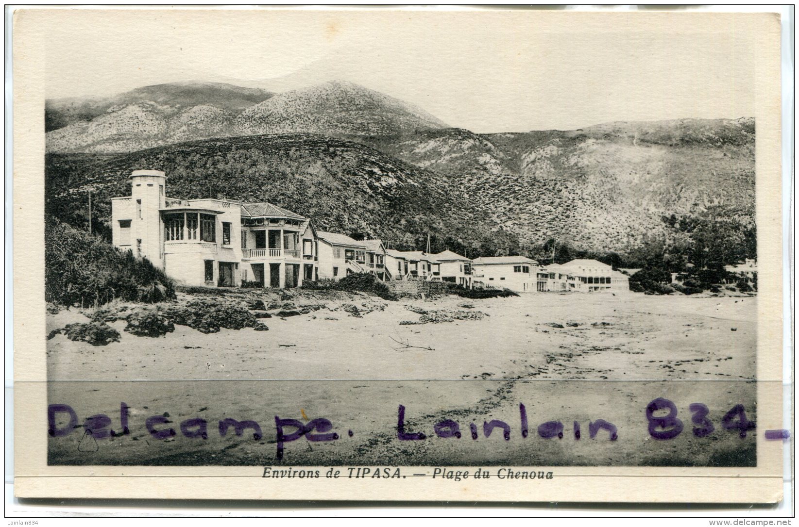 - Environs De TIPASA - Plage Du Chenoua, Villas, Splendide, Non écrite, TTBE, Scans. - Autres & Non Classés