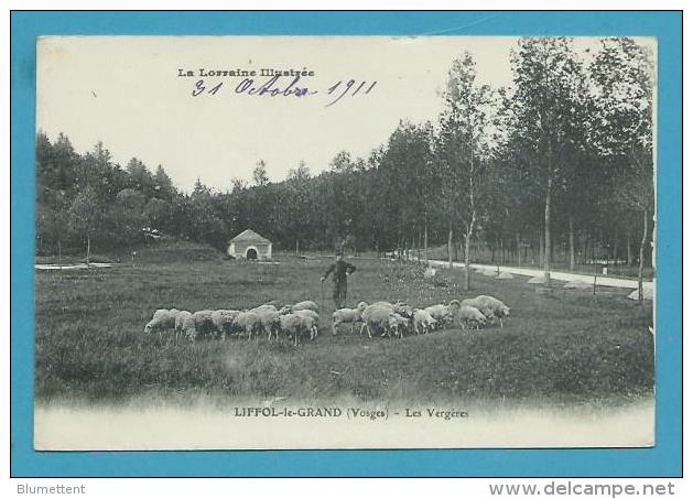 CPA Berger Et Ses Moutons - Les Vergères LIFFOL-LE-GRAND 88 - Liffol Le Grand