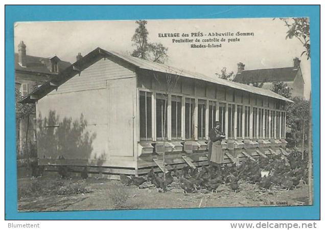 CPA Poulailler De Contrôle De Ponte Rhodes-Island - Elevage Des Prés ABBEVILLE 80 - Abbeville