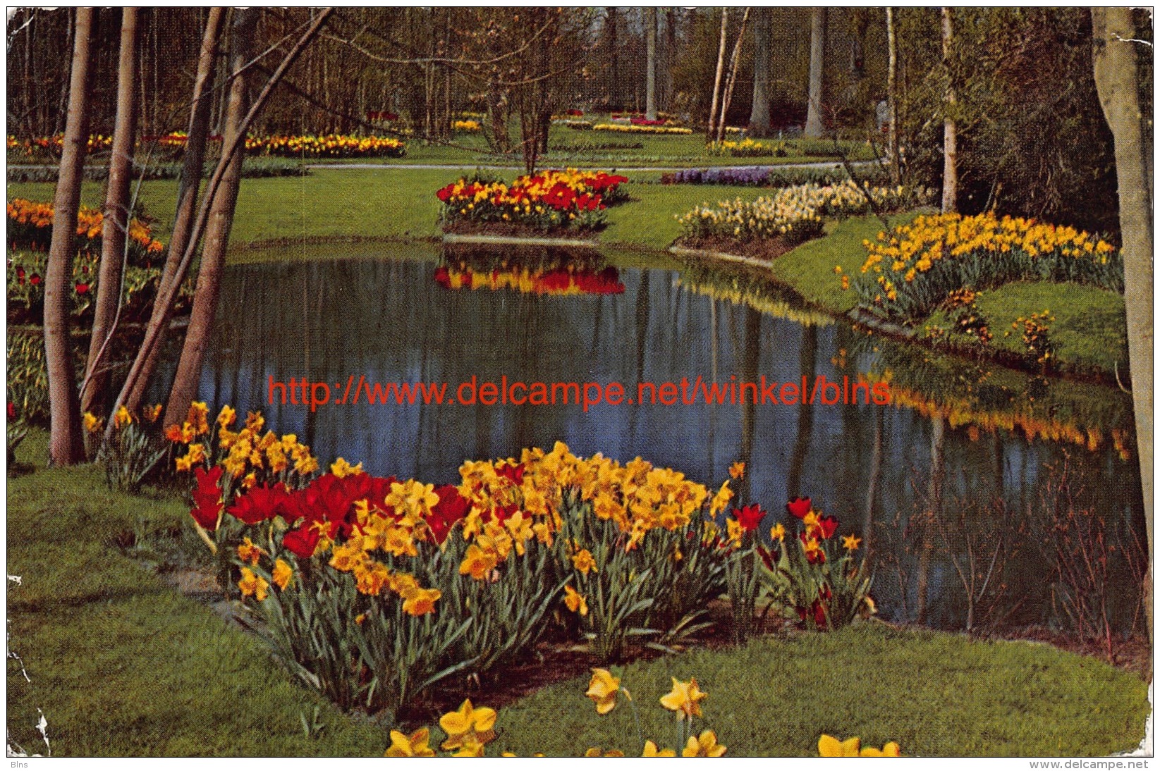 ""Keukenhof"" Lisse - Lisse