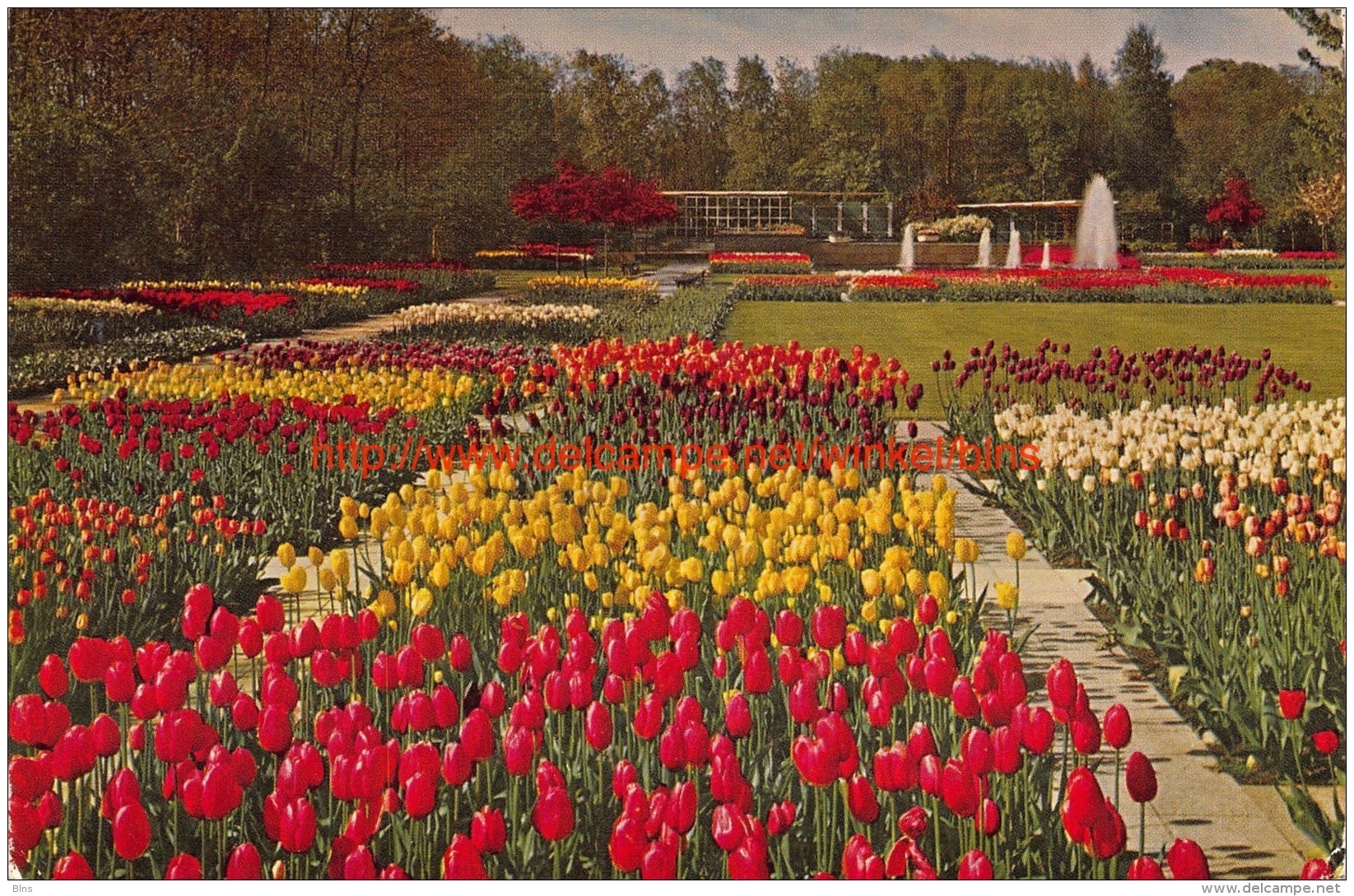 ""Keukenhof"" Lisse - Lisse