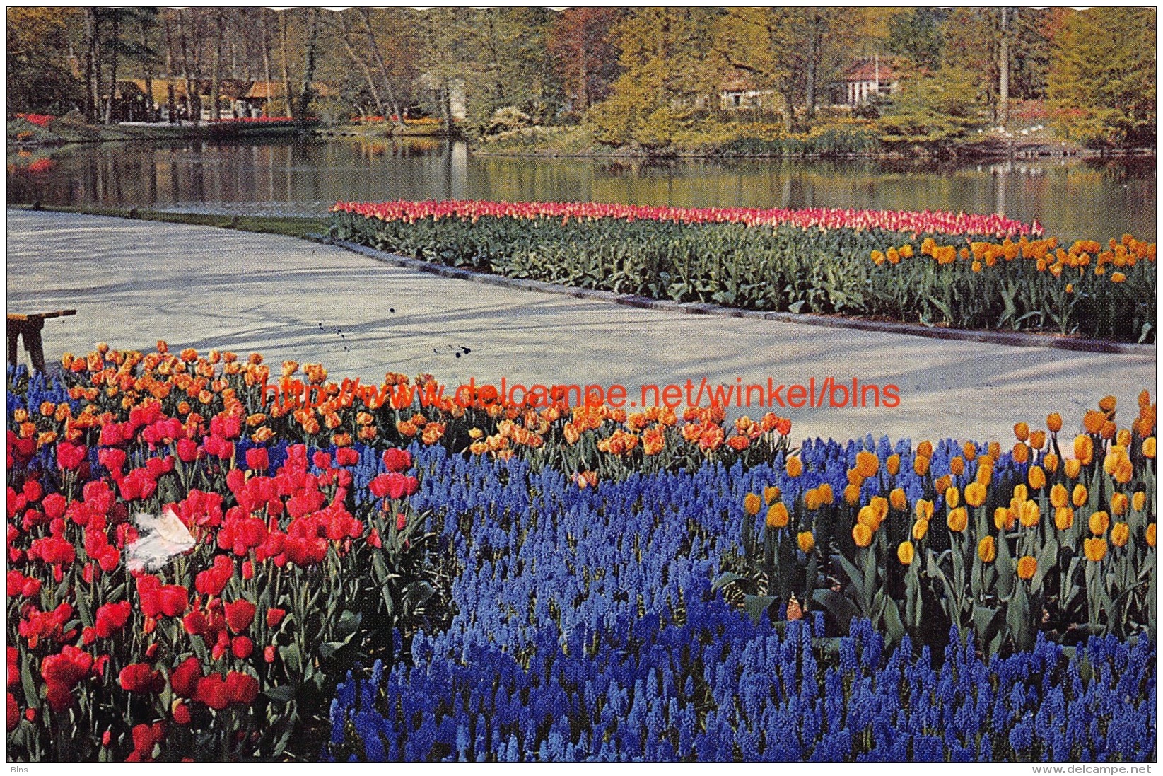 ""Keukenhof"" Lisse - Lisse