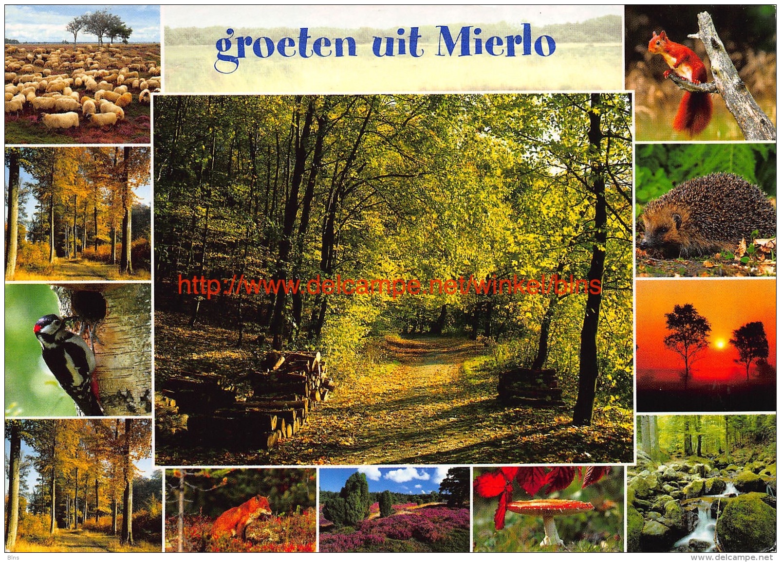 Groeten Uit Mierlo - Geldrop