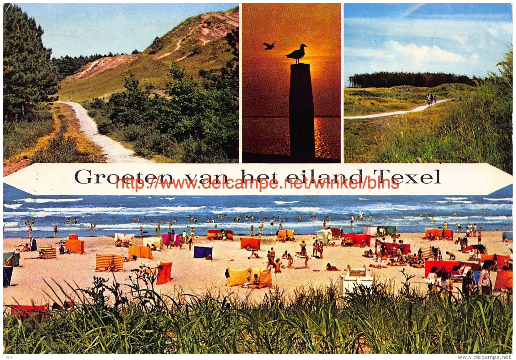 Groeten  Van Het Eiland Texel - Texel