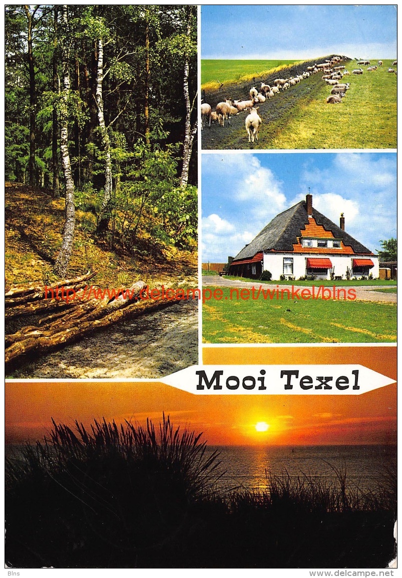 Mooi Texel - Texel