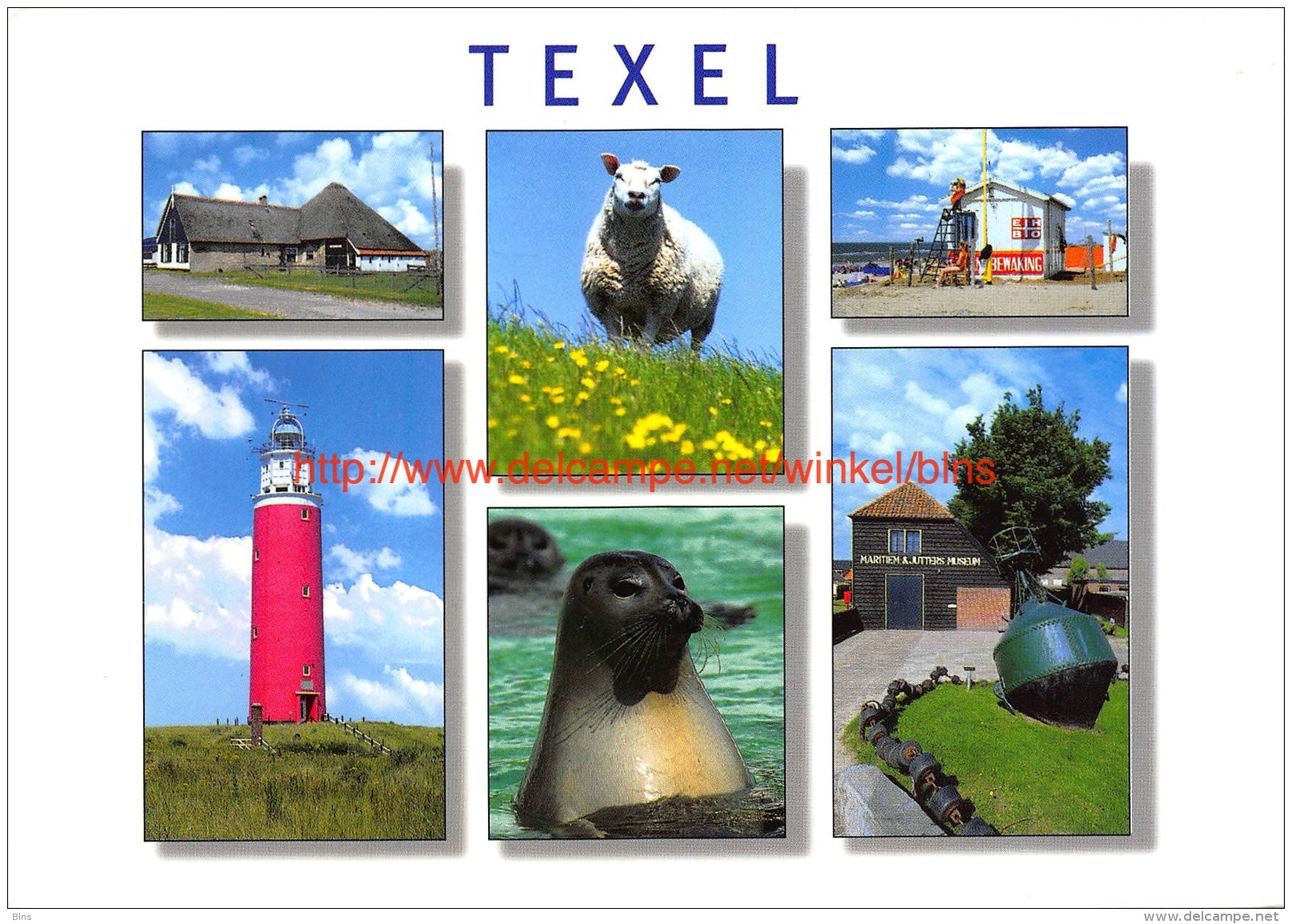 Texel - Texel