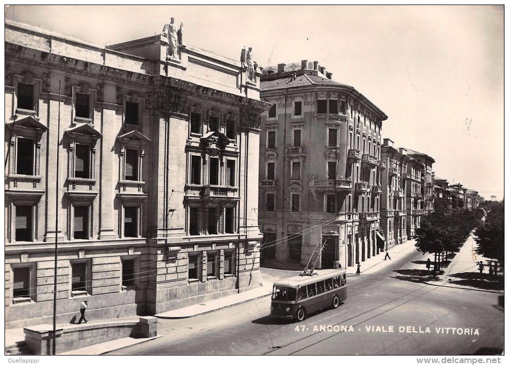 05090 "ANCONA - VIALE DELLA VITTORIA" ANIMATA, FILOBUS. CART.  SPED. 1955 - Ancona