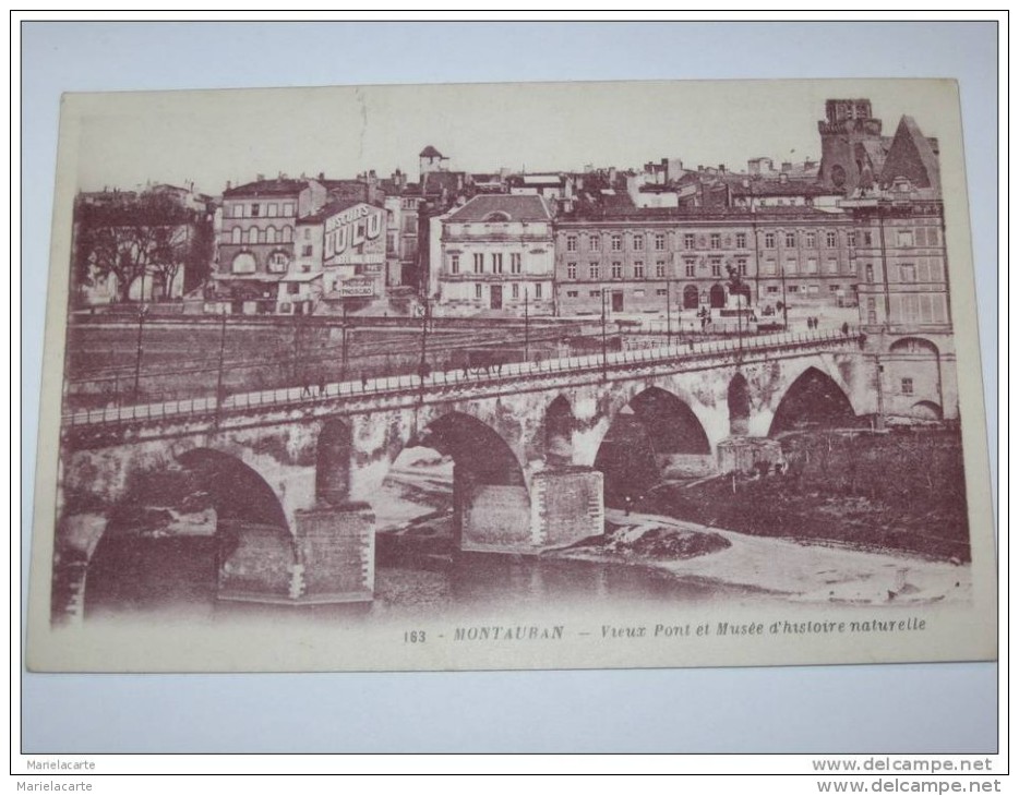 Rerf10 -  Montauban  Vieux Pont Et Musée D´histoire Naturelle - Montauban