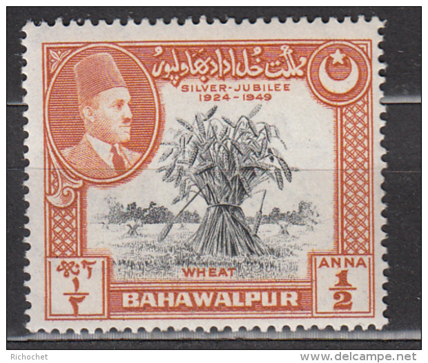 Inde - Bahawalpur -  18 à 21 * - Bahawalpur