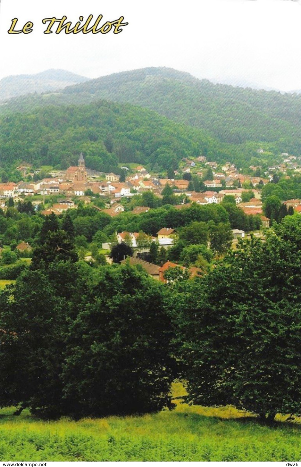 Le Thillot (Vosges) - Vue Générale - Carte Numédition - Le Thillot