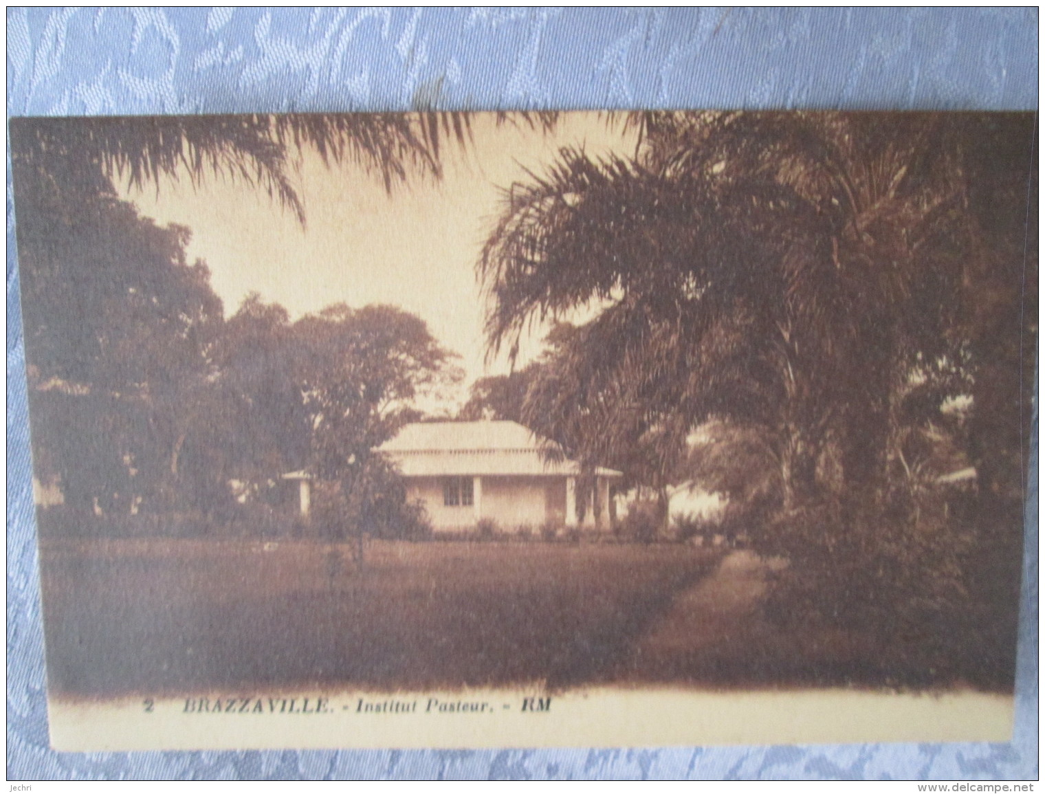 BRAZZAVILLE . INSTITUT PASTEUR - Brazzaville