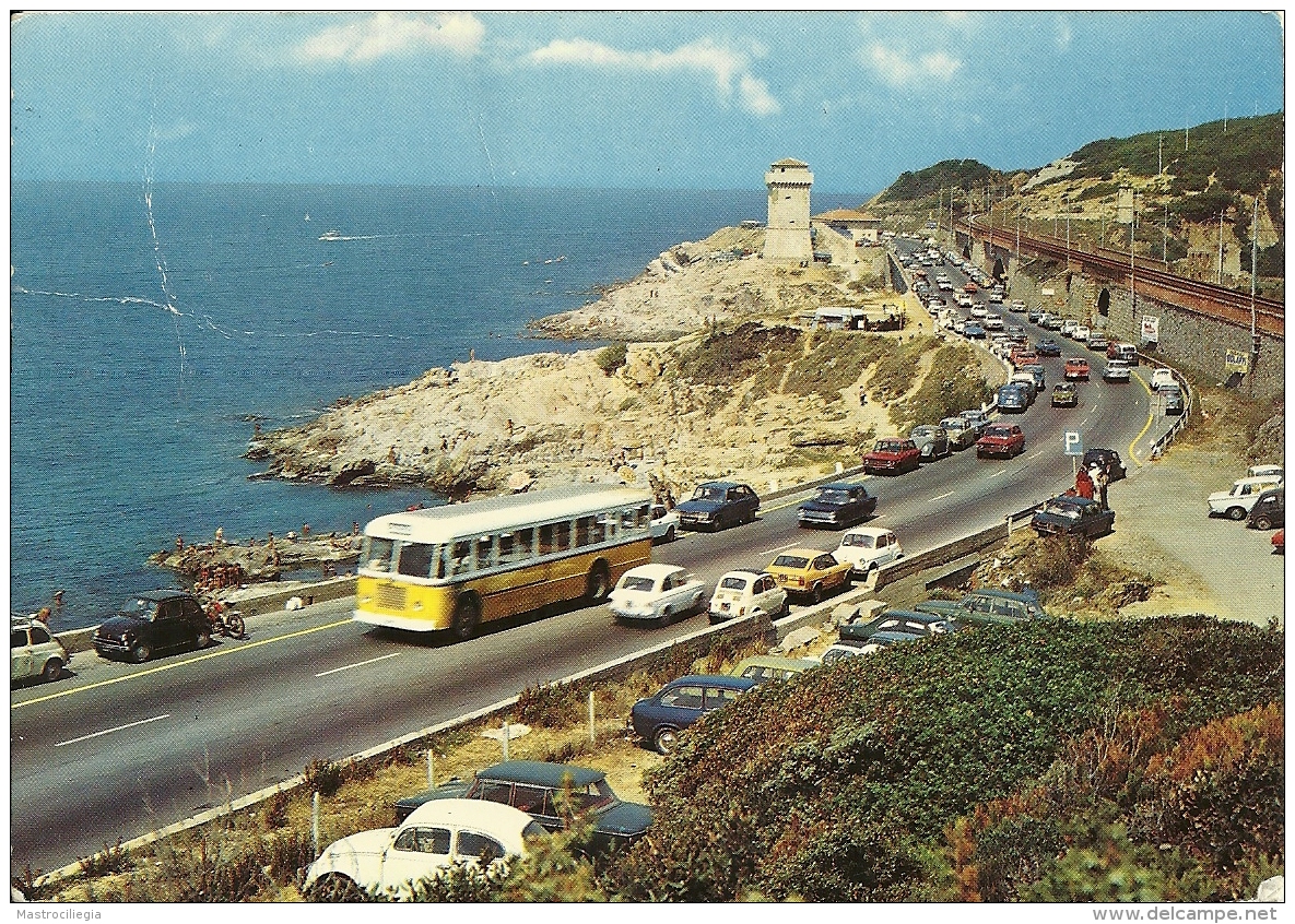 LIVORNO   Torre Di Calafuria  Auto Autobus Postauto - Livorno