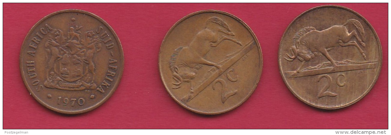 SOUTH AFRICA, 1970, 3 Off Normally Used Coins Of 2 Cent , Wildebeest,  KM83, C3283 - South Africa