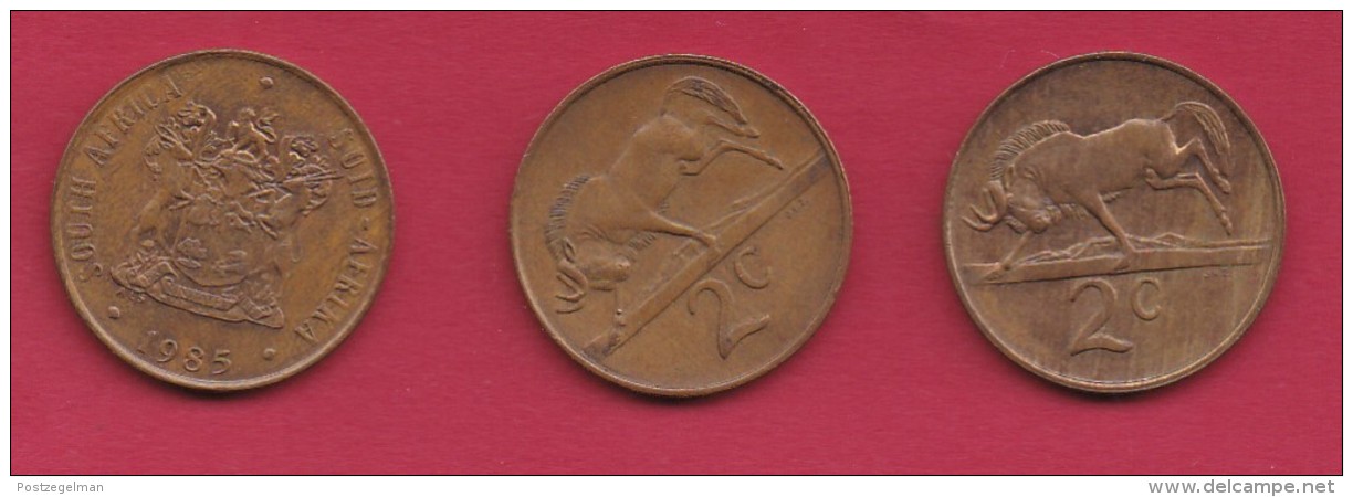 SOUTH AFRICA, 1985, 3 Off Normally Used Coins Of 2 Cent , Wildebeest,  KM83, C3292 - South Africa