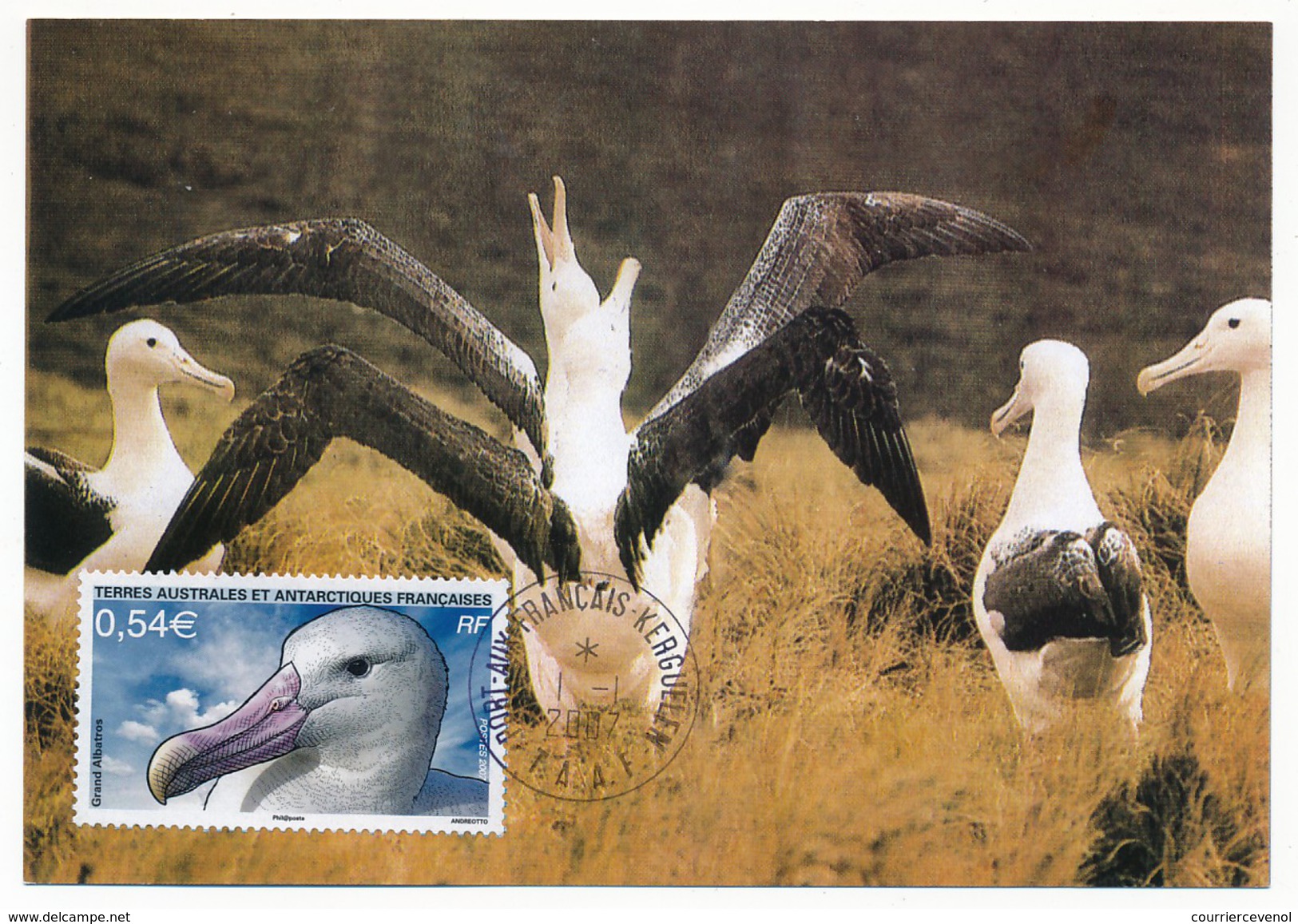 TAAF - Carte Maximum - Grand Albatros - Port Aux Français - Kerguelen - Terre Adélie - 1-1-2007 - Storia Postale