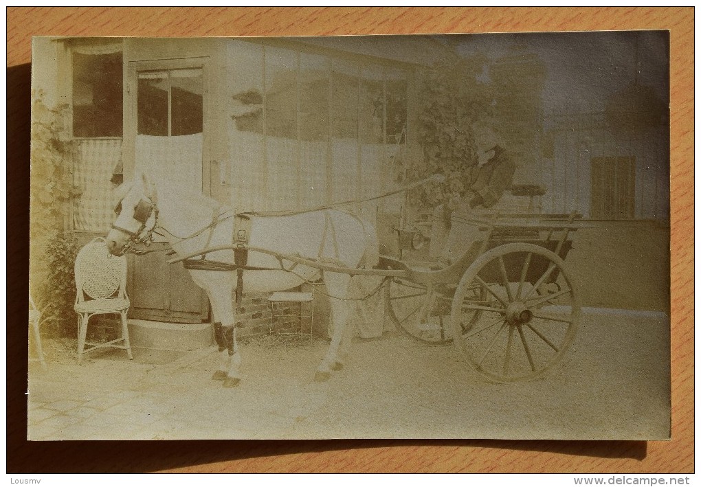 Carte Photo Animée - Attelage Avec Cheval Blanc - Société Lumière ( Lyon ) - (n°7171) - Pferde