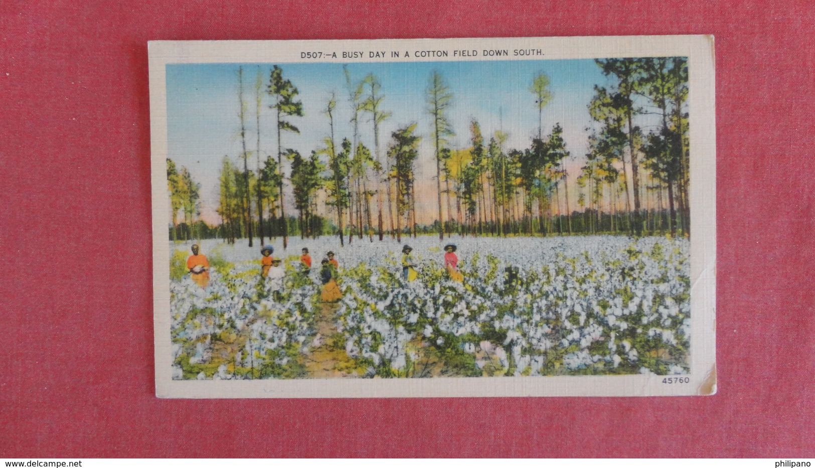 Black Americana Busy Day Ib Cotton Field Mailed From Georgia --  --------- - -    Ref 2415 - Black Americana