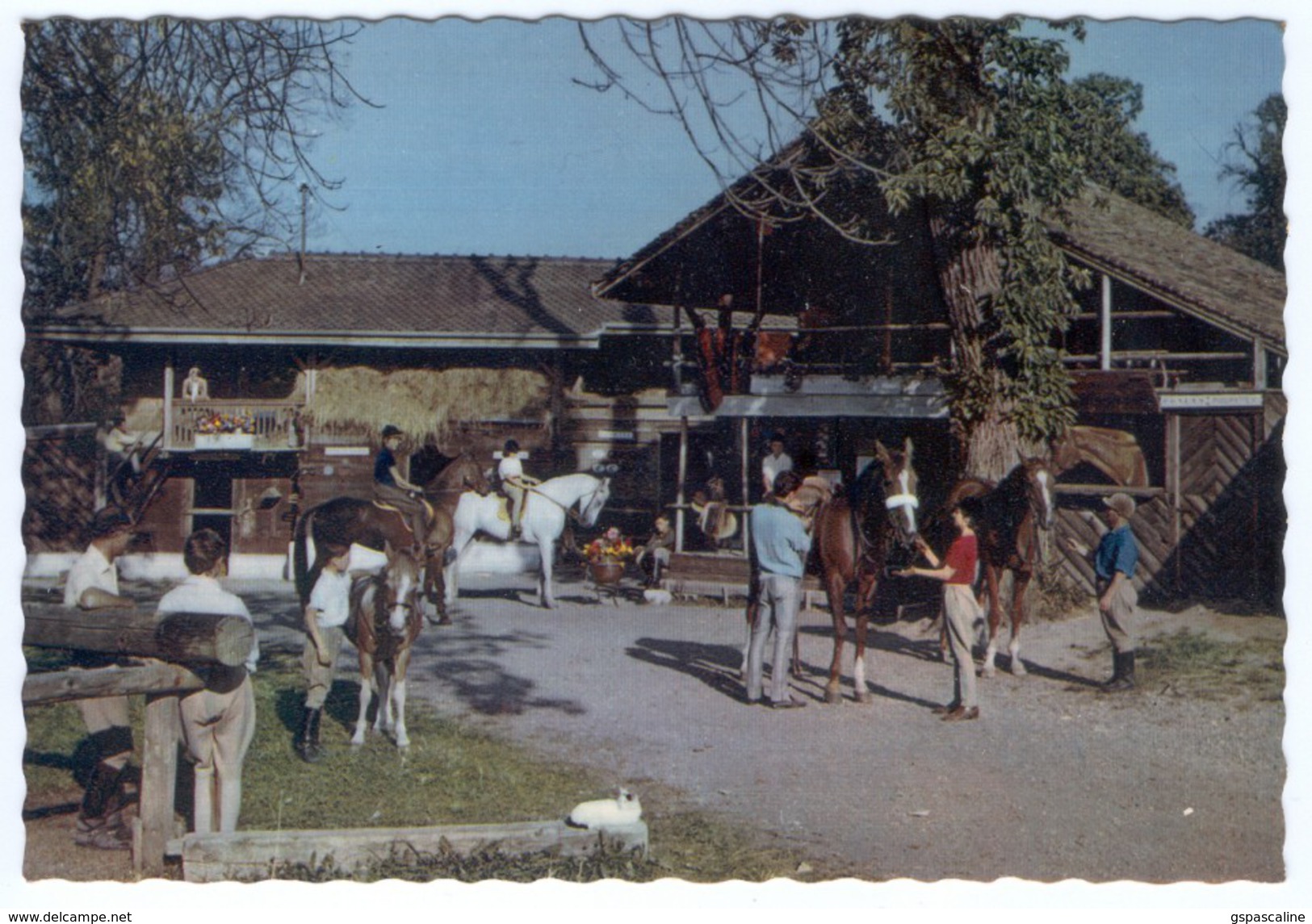 74 EVIAN LES BAINS - Edts Schall Press - Hôtel De La Verniaz & Ses Chalets. L'Ecole D' Equitation. Tennis.(1) - Evian-les-Bains