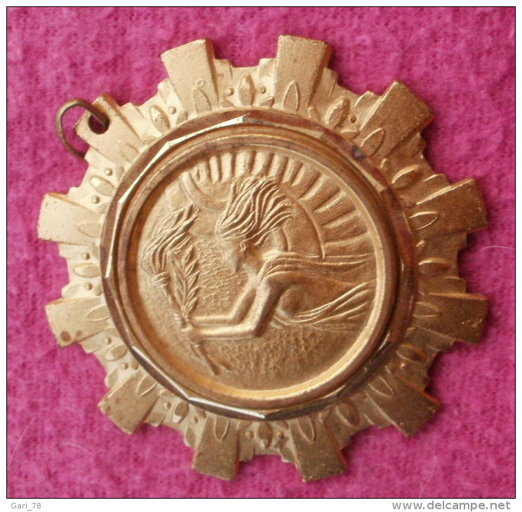Medaille Dorée Conseil Général CODACS 31, FRANCE SPORT Diamètre 55 Mm - Autres & Non Classés