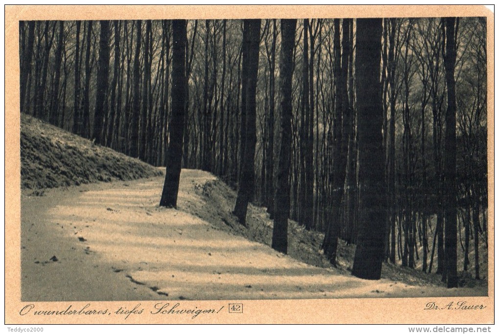 Schweigen Dr Sauer - Steinach Am Brenner