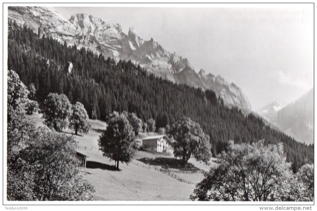 REUTSPERRE ROSENLAUI - Steinach Am Brenner