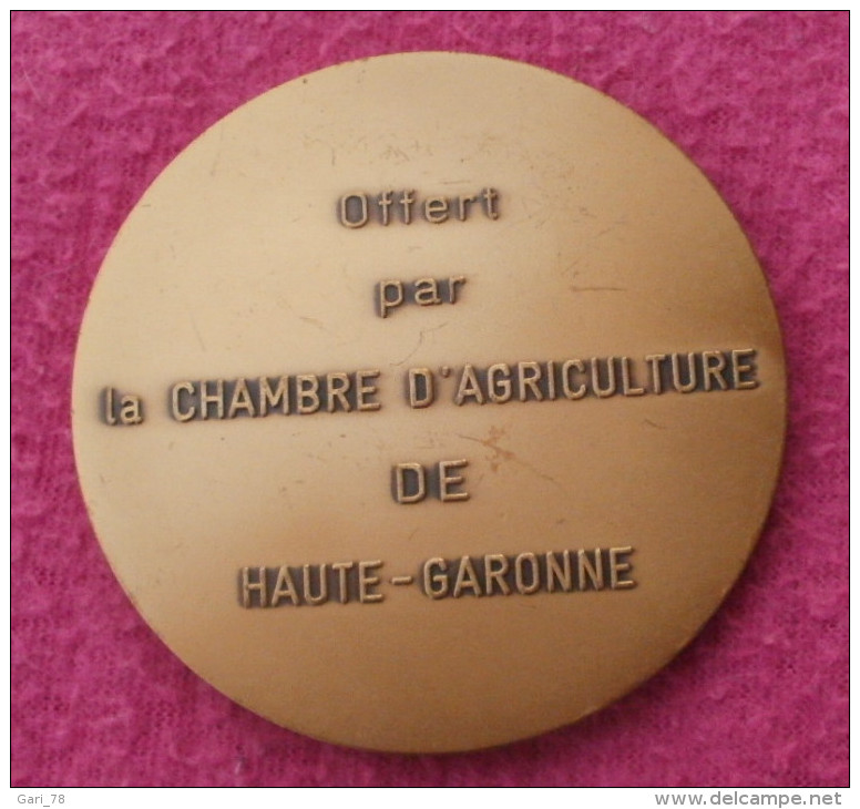 Medaille En Bronze FL (Florentin) Offert Par La Chambre D'Agriculture De Haute Garonne  65 Mm - Autres & Non Classés