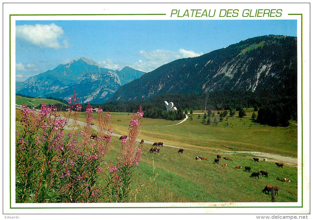 Plateau Des Glieres, Haute-Savoie, France Postcard Posted 1998 Stamp - Andere & Zonder Classificatie