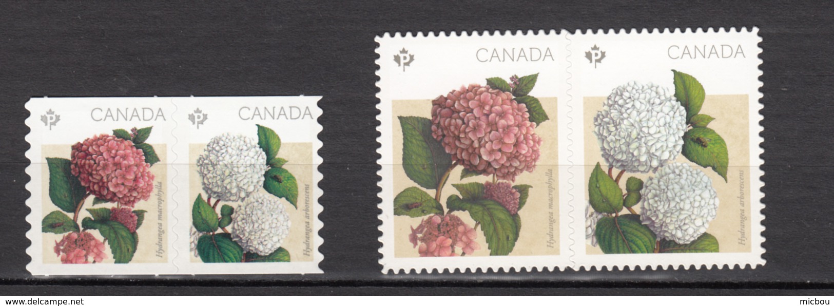 Canada, 2016, MNH, Hydrangée, Hydrangea, Fleur, Flower, Die Cut - Nuovi