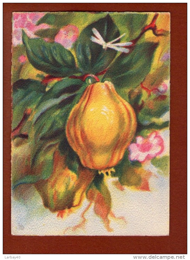 1 Cp Illustrateur - Les Fruits De France  - Les Coings - 1942 - 1900-1949