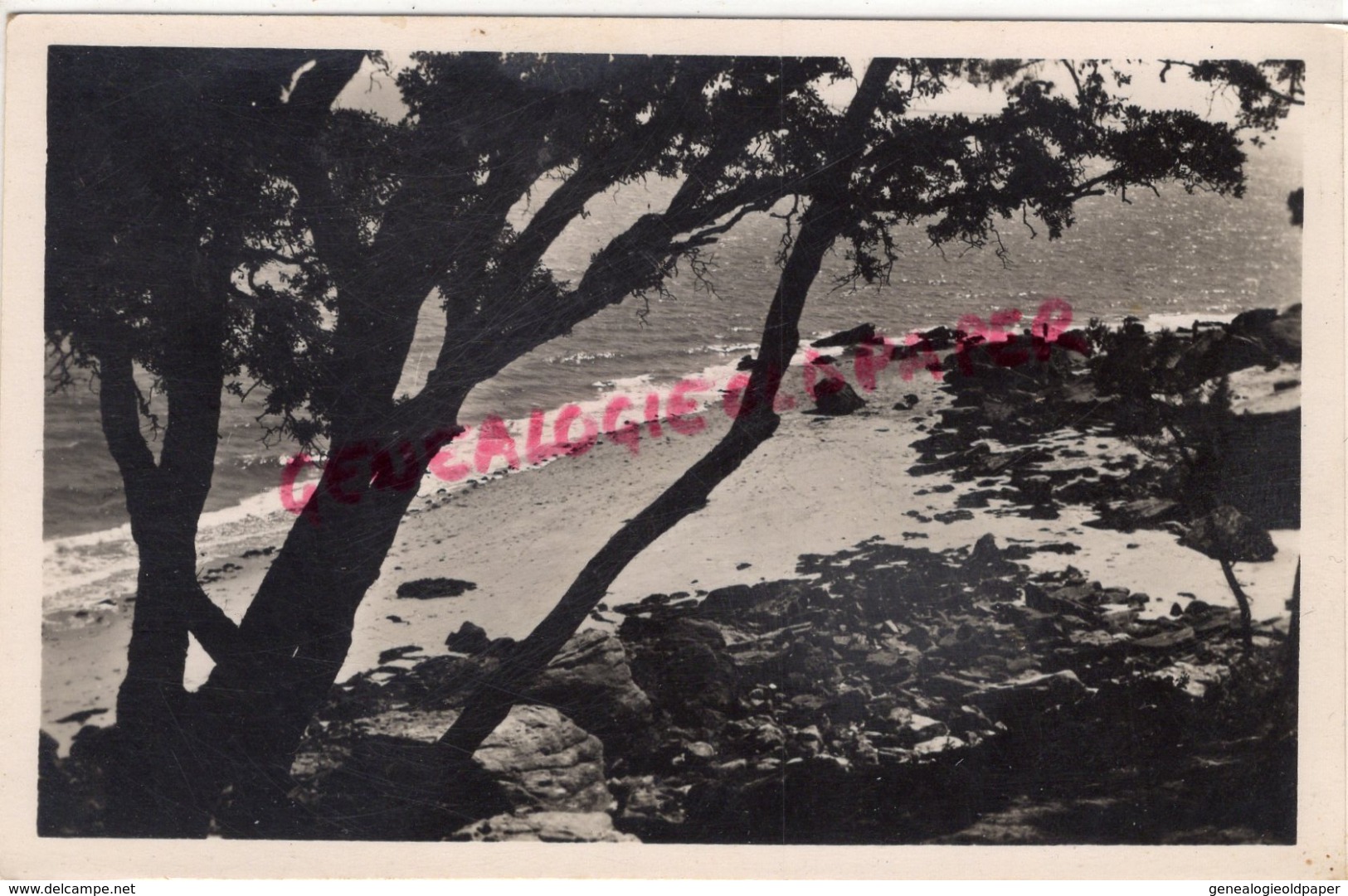 85 - ILE DE NOIRMOUTIER - ROCHERS PRES DE LA PLAGE DE L' ANSE ROUGE - CARTE PHOTO  1955 - Ile De Noirmoutier