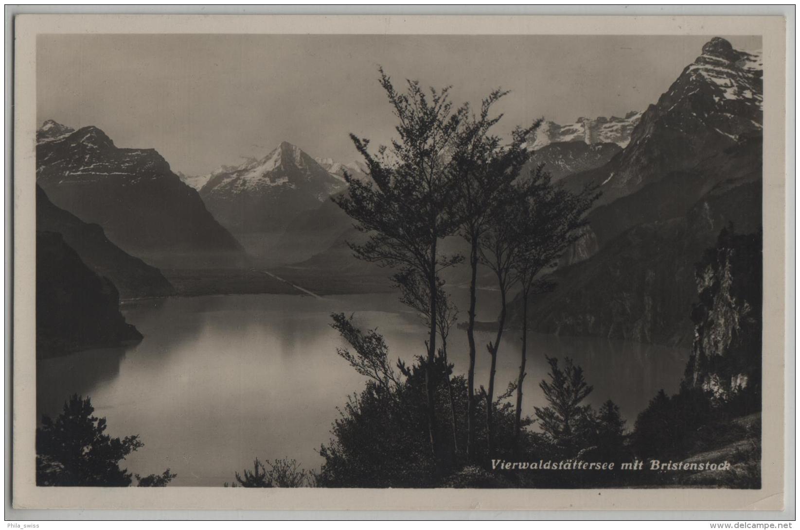 Vierwaldstättersee Mit Bristenstock - Photo: M. Aschwanden - Autres & Non Classés