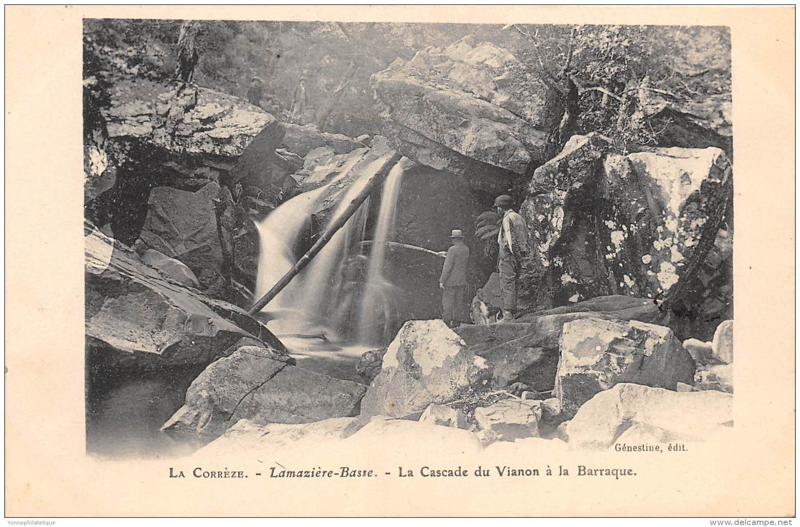 19 - CORREZE / Lamazière Basse - La Cascade Du Vianon à La Barraque - Beau Cliché - Autres & Non Classés