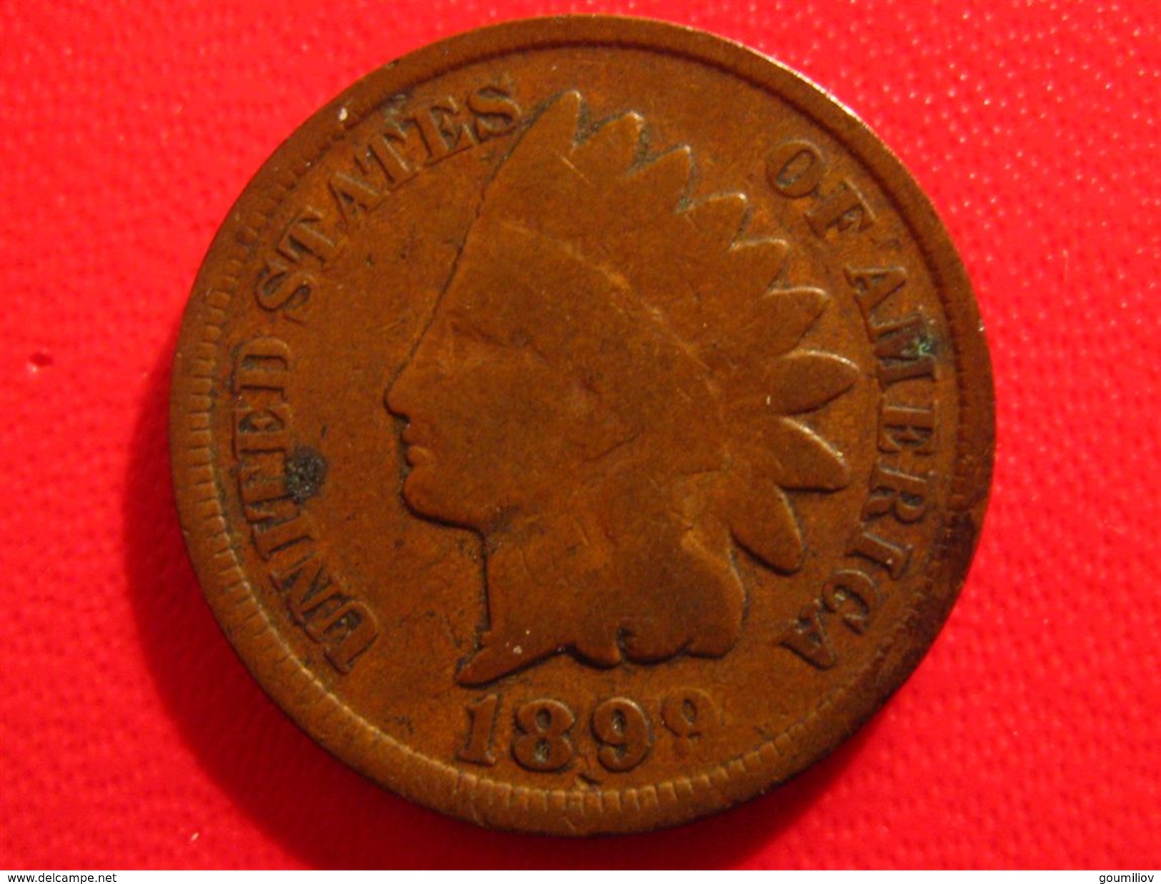 Etats-Unis - One Cent 1899 - Type Indian Head 3074 - 1859-1909: Indian Head