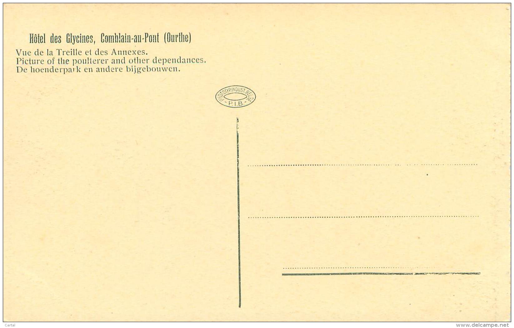 COMBLAIN-AU-PONT - Hotel Des Glycines - Vue De La Treille Et Des Annexes - Comblain-au-Pont