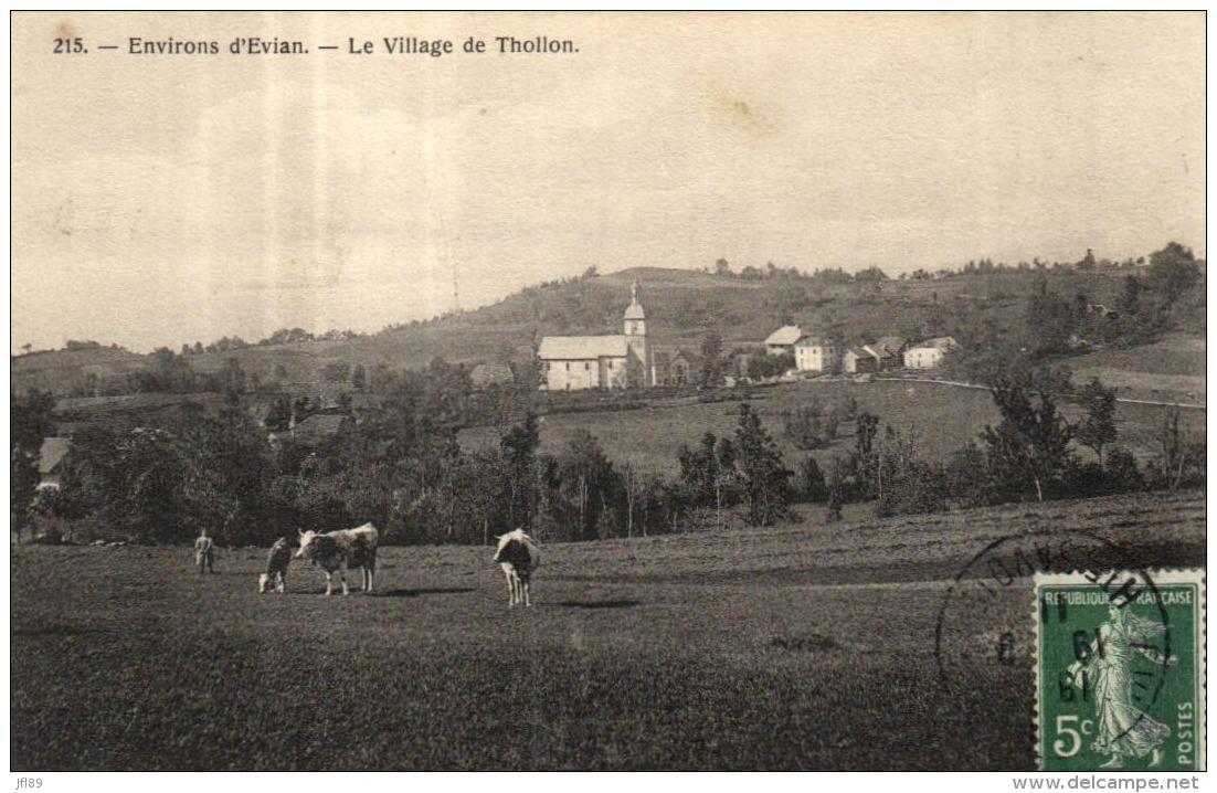 A 2953 - Thollon (74) Le Village   Et Vaches  Dans Une Prairie - Thollon