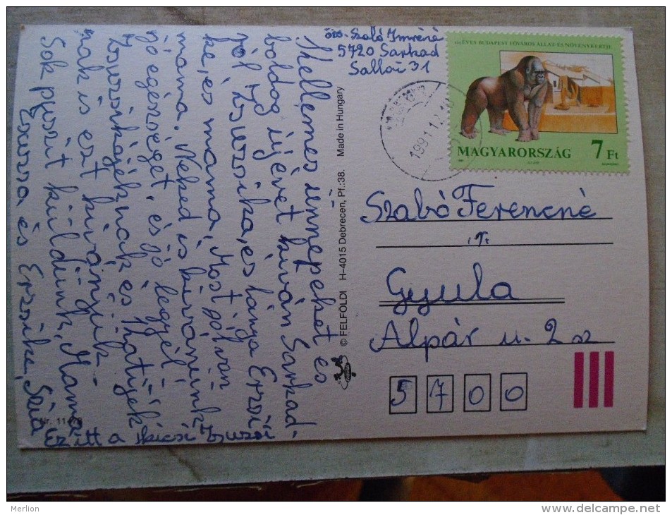 D144499 HUNGARY- Postcard  - Gorilla  Stamp - Budapest  ZOO 125 Yrs  1991 - Gorilla's