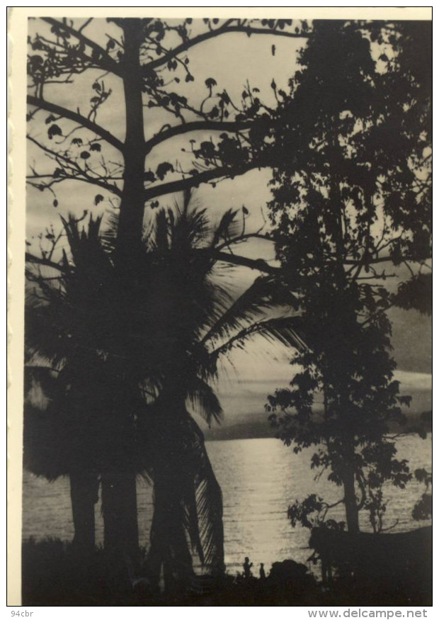 PHOTO 7.5x10.5 (ruanda)    Lac Tanganyika - Ruanda-Urundi