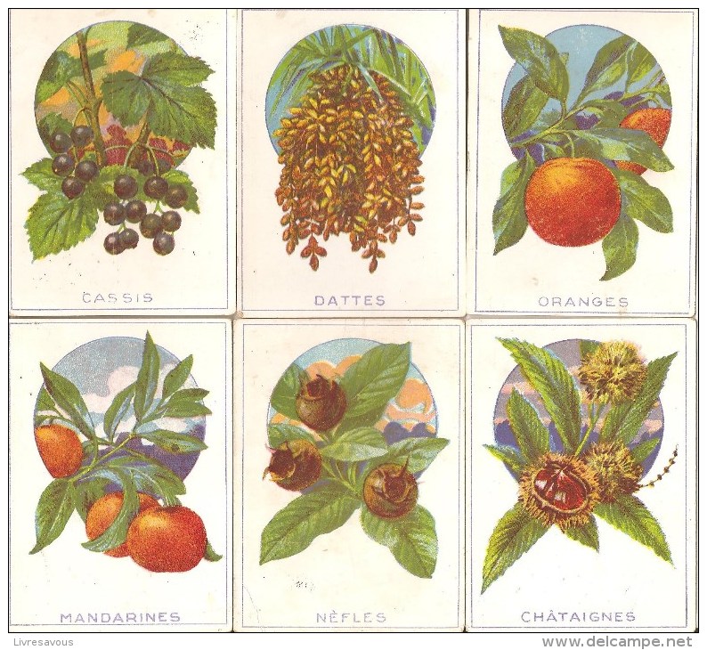 Lot De 6 Images Bon Point De 1960 Environ Cassis Oranges Mandarines Dattes Nèfles Châtaignes - Autres & Non Classés