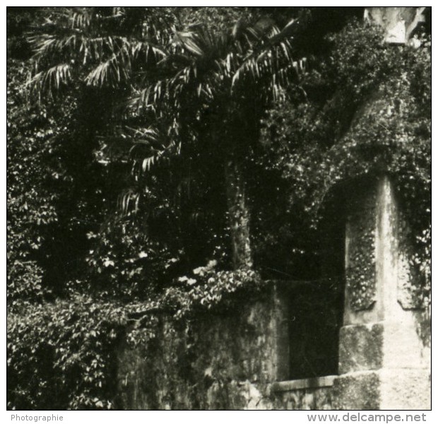 Italie Lac De Come Lenno Villa Balbianello Ancienne Photo Stereo 1900 - Photos Stéréoscopiques