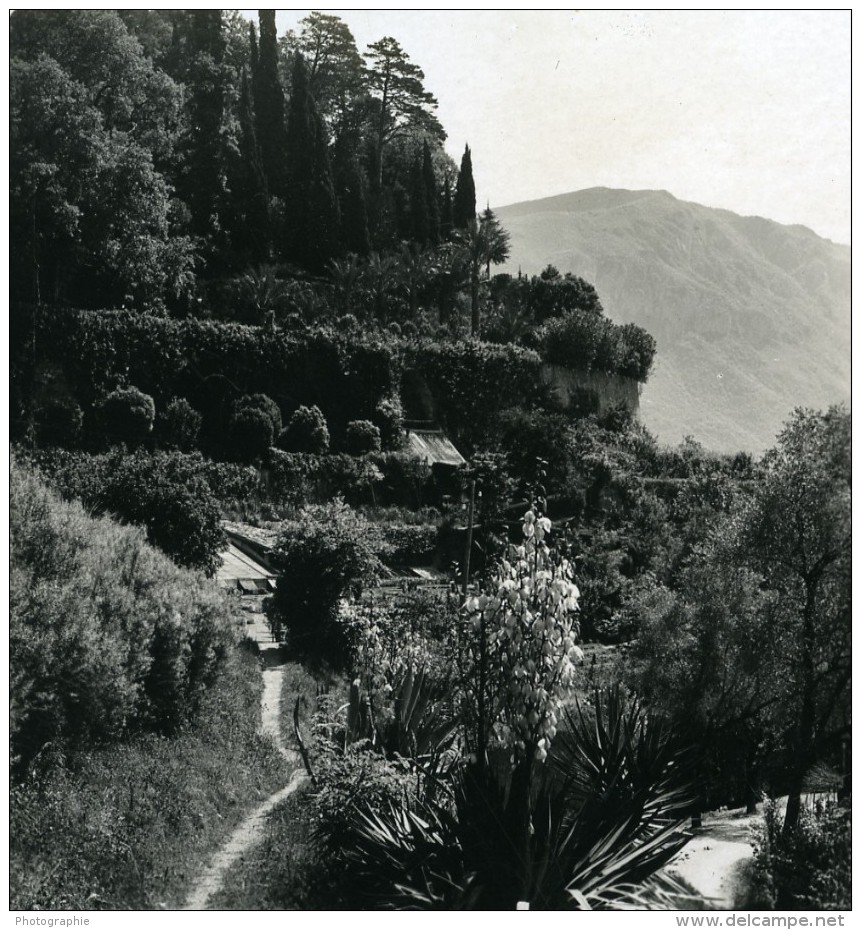 Italie Lac De Côme Bellagio Villa Serbelloni Jardins Ancienne Photo Stereo Wehrli 1900 - Stereoscopic