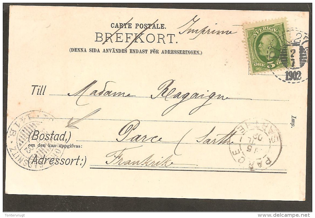 Delsbo. Sign Cp. 1902. Postmark Trelleborg-Sassnitz. - Schweden