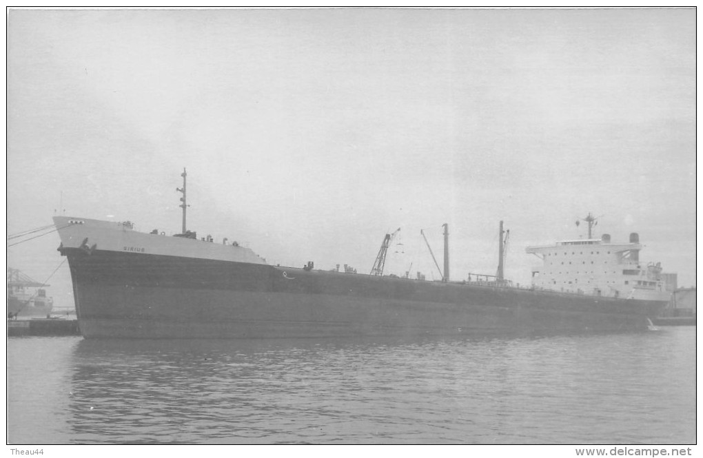 ¤¤  -  Carte-Photo Du Pétrolier  " SIRIUS " En 1962  -  Bateau De Commerce   -   ¤¤ - Tankers