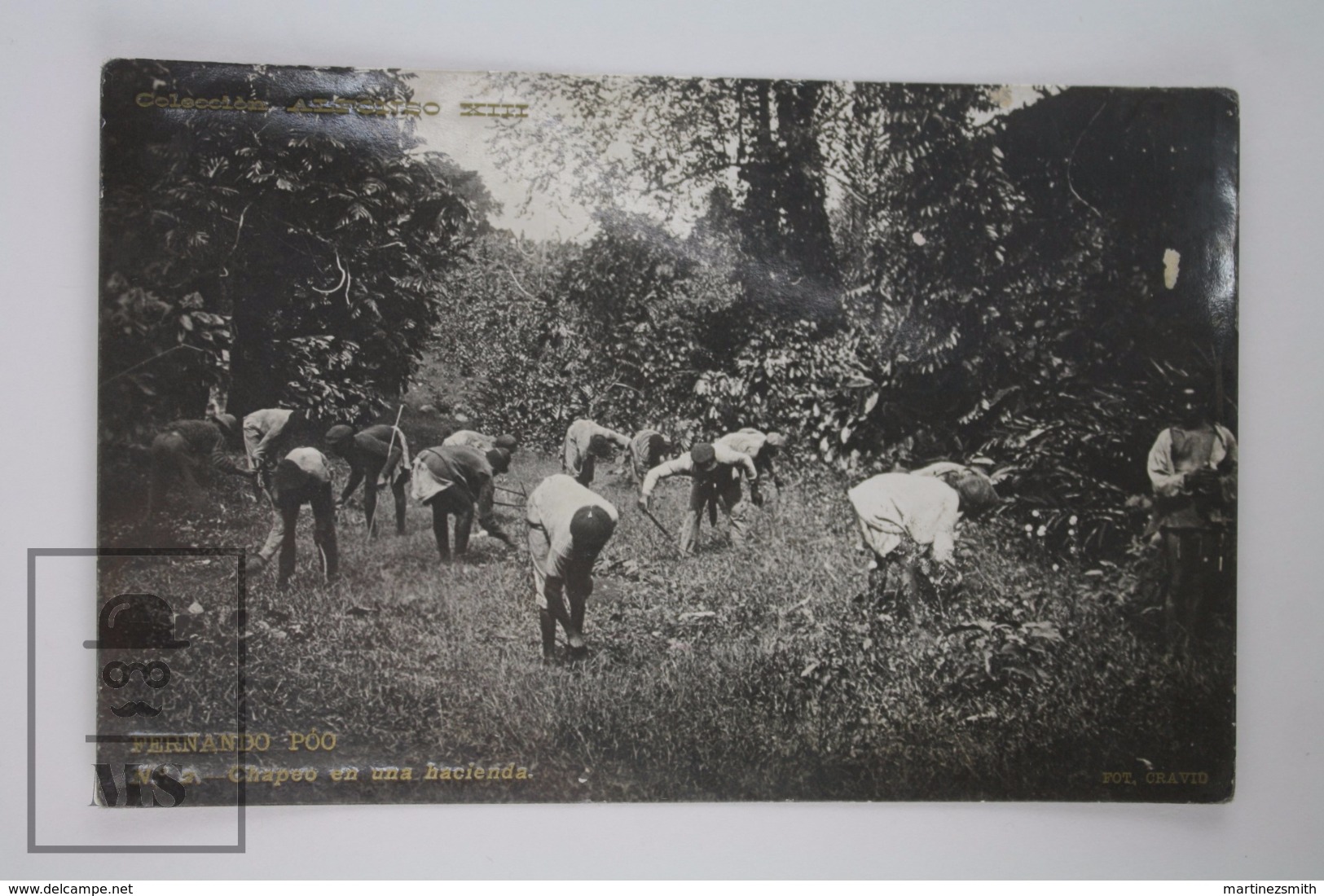 Early 20th Century Real Photo Postcard Equatorial Guinea, Fernando Poo - Farmworkers - Chapeo En Una Hacienda - Equatorial Guinea