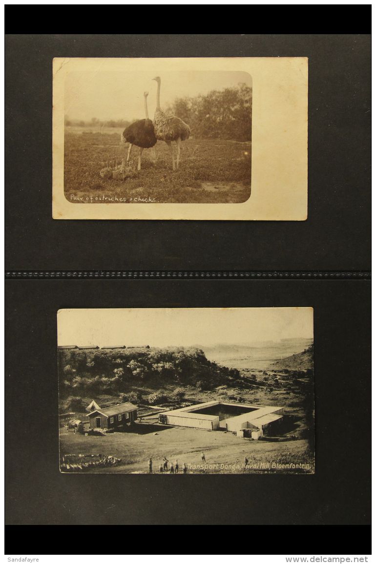 TRANSVAAL INTER PROVINCIALS 1910-12 A Collection Of Monochrome PICTURE POSTCARDS Mostly Addressed To Jersey... - Non Classés