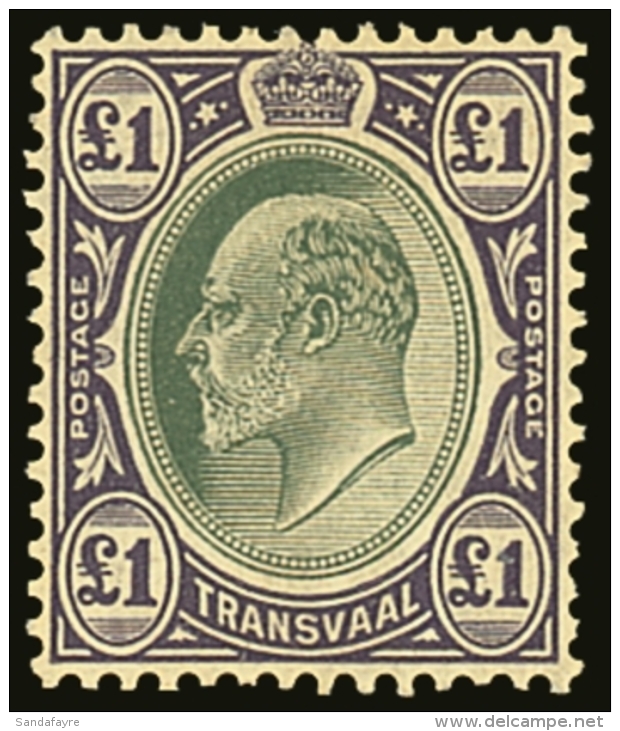 TRANSVAAL 1903 &pound;1 Green And Violet, Ed VII, SG 258, Very Fine And Fresh Mint. Lovely Stamp. For More Images,... - Unclassified