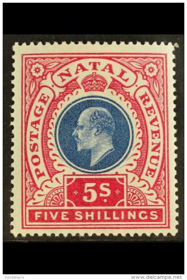 NATAL 1902 5s Dull Blue And Rose, Ed VII, SG 140, Very Fine And Fresh Mint. For More Images, Please Visit... - Non Classés