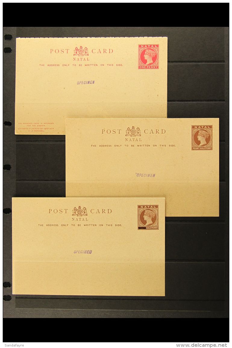 NATAL 1891-93 QV "SPECIMEN" POST CARD SELECTION. Includes 1d Reply Card, 1&frac12;d And Provisional &frac12;d With... - Unclassified