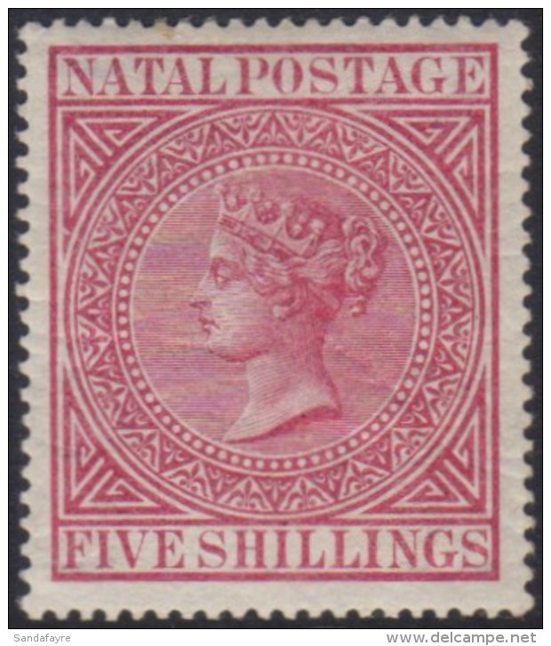 NATAL 1874 5s Carmine, Wmk CC, SG 73, Very Fine And Fresh Mint. For More Images, Please Visit... - Unclassified