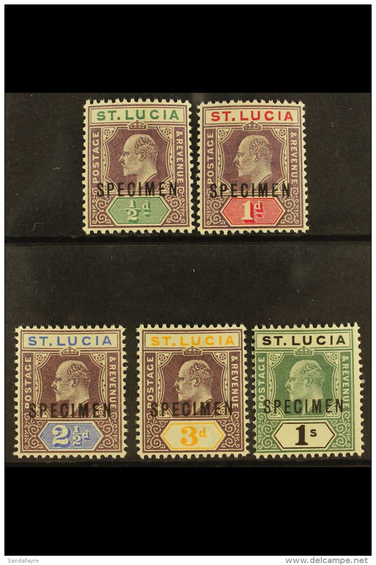 1902 Ed VII Set, Wmk CA, Ovptd "Specimen", SG 58s/62s, Very Fine Never Hinged Mint. (5 Stamps) For More Images,... - Ste Lucie (...-1978)