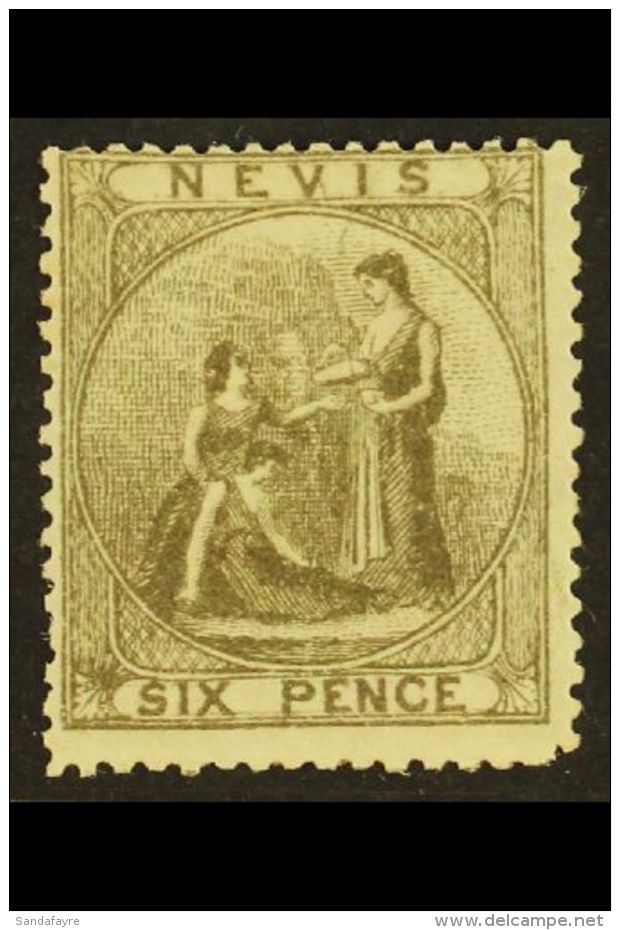 1871-78 6d Grey, SG 19, Mint, Fabulous Colour. For More Images, Please Visit... - St.Christopher-Nevis-Anguilla (...-1980)